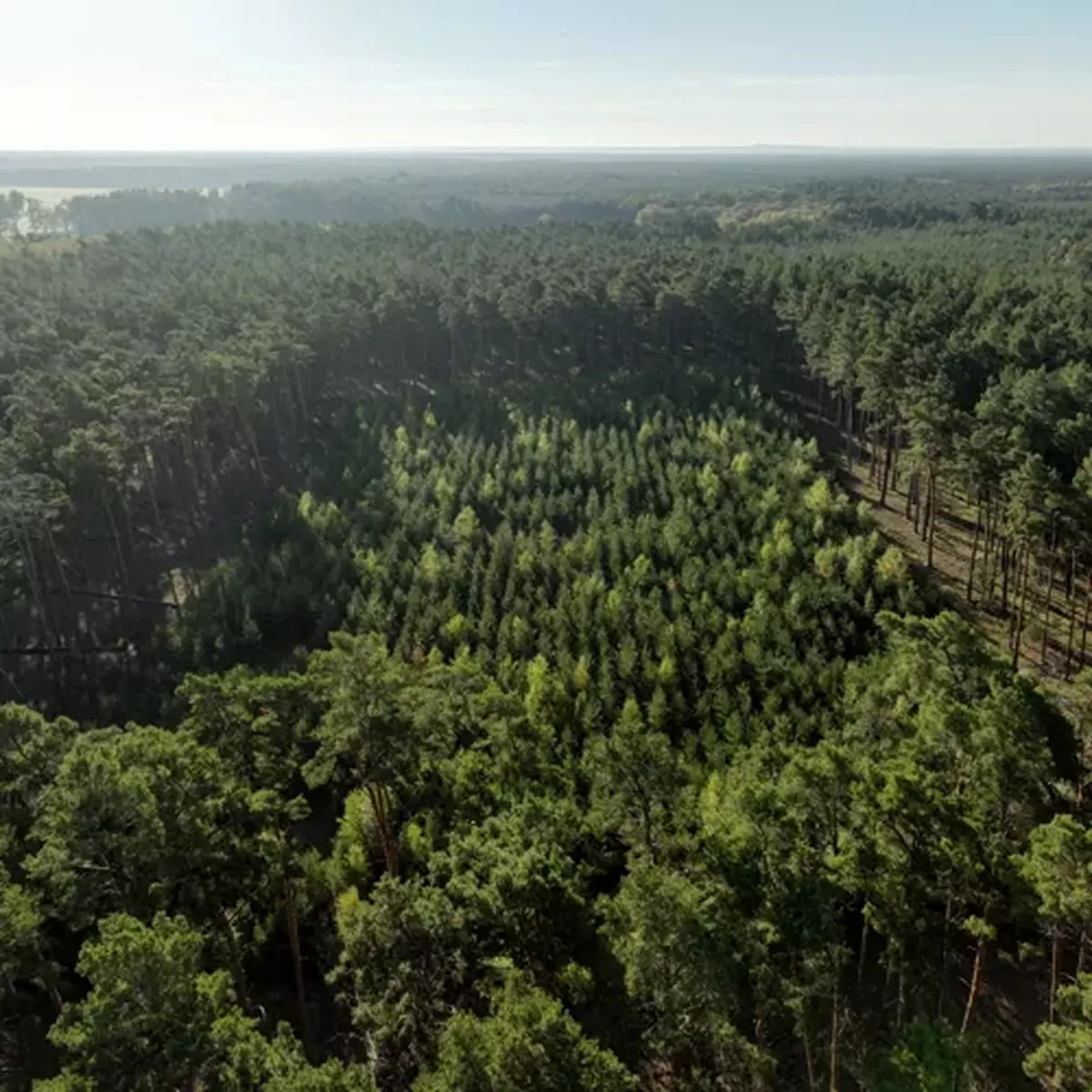 klimaschutzpartner-produkt-1